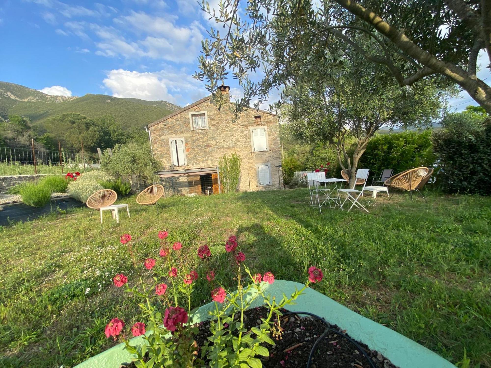 A Casa Orani Ponte-Leccia Exterior foto