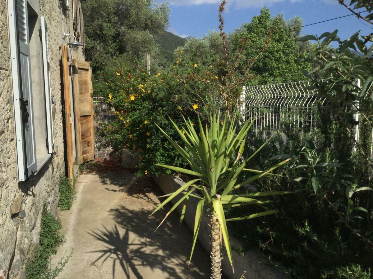 A Casa Orani Ponte-Leccia Quarto foto